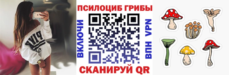 Галлюциногенные грибы мицелий  купить наркоту  Мирный 